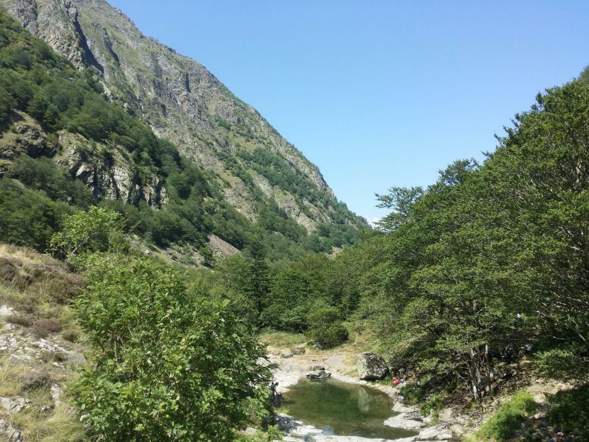 Appartement T2 4 Personnes Wifi Et Climatisation Bagnères-de-Luchon エクステリア 写真